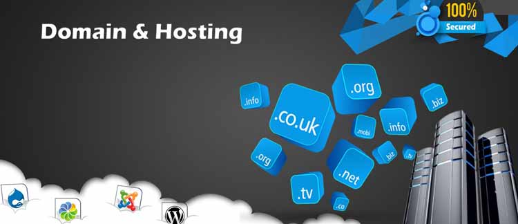 Domain and Hosting