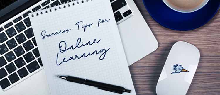 Tips For Online Learning