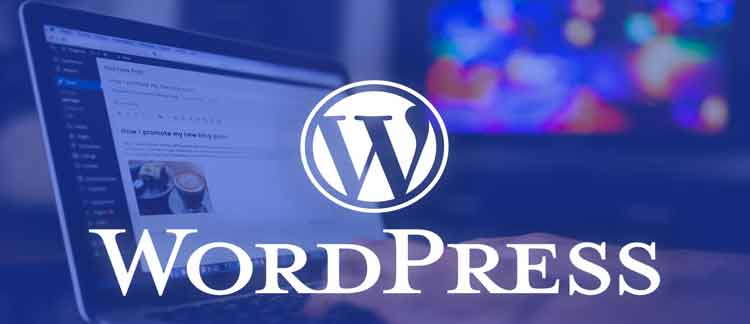 wordpress web development